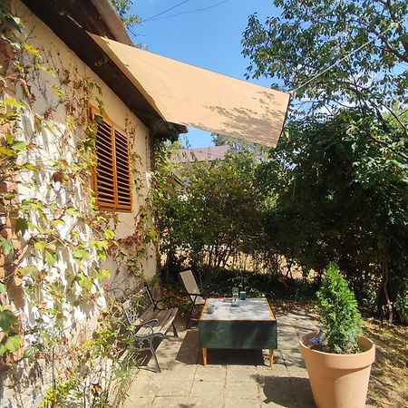 Bocke Beach House Novi Sad Exterior foto